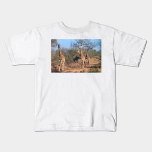 Four giraffes in the morning light Kids T-Shirt